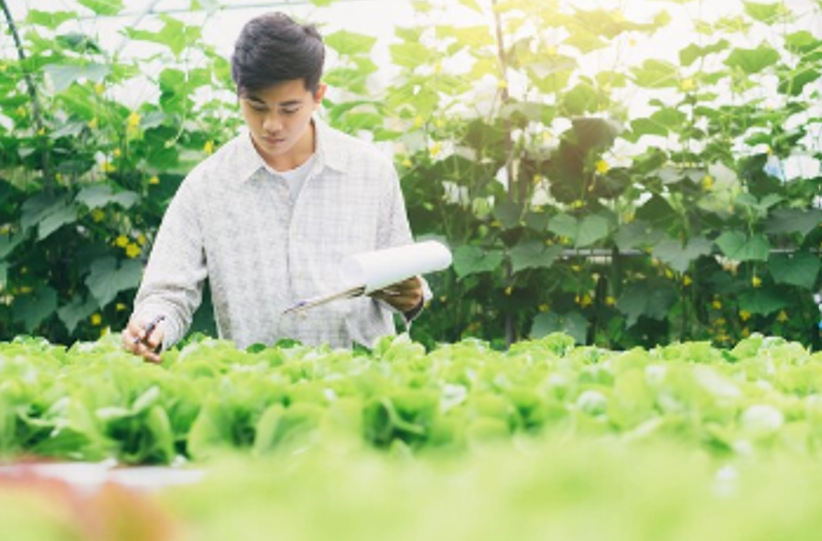 กรมการพัฒนาชุมชน ยกทัพสินค้า OTOP จากภูมิปัญญาท้องถิ่น เข้าเมืองกรุง